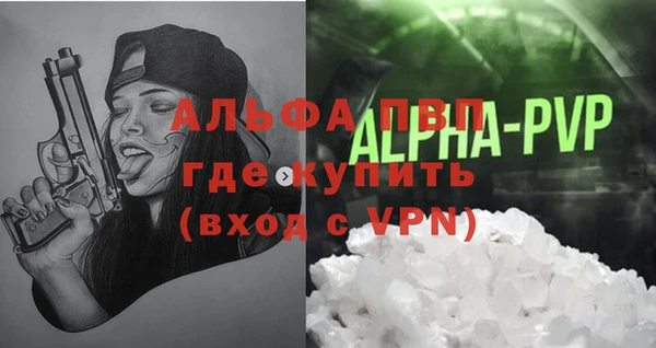 стаф Абинск