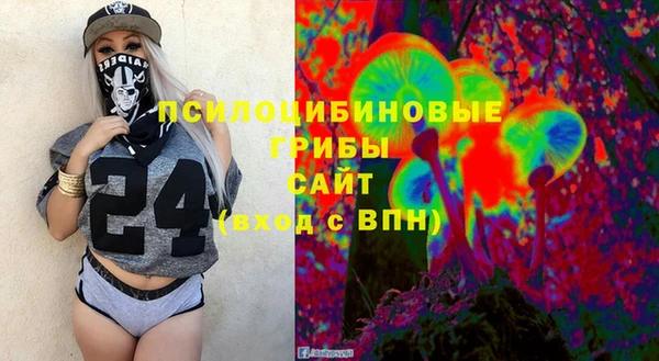 тгк Абаза