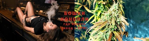 гашик Алзамай