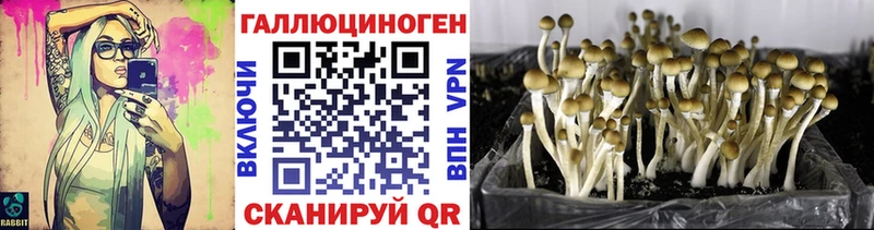 Галлюциногенные грибы GOLDEN TEACHER  наркотики  Луга 